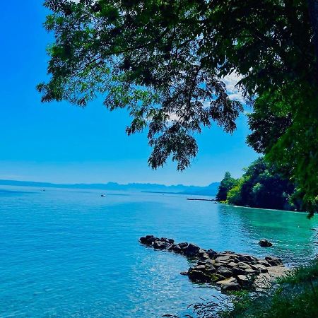 Appartement Le Leman Excénevex Kültér fotó