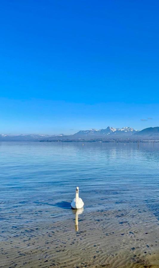 Appartement Le Leman Excénevex Kültér fotó